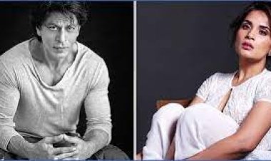  শাহরুখের ছবি দেখে বেহাল রিচা চাড্ডার