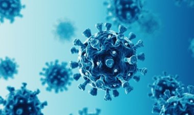 করোনায় ২৪ ঘন্টায় মৃত্যু ৯, শনাক্ত ৬৫৬ জন