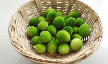 কাঁকরোল খাওয়ার উপকারিতা