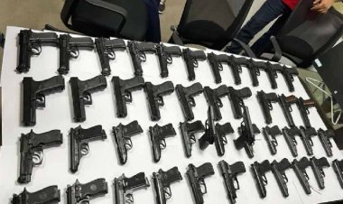 দু’টি ব্যাগভর্তি ৪৫টি পিস্তল! দিল্লি বিমানবন্দরে ধরা পড়লেন দম্পতি