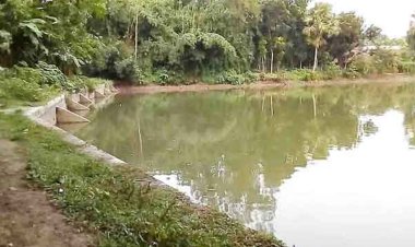 পুকুরে গোসল করতে গিয়ে প্রাণ গেল দুই শিশুর