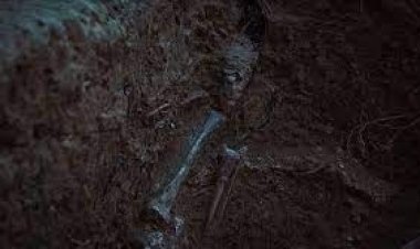 পোল্যান্ডে গণকবর খুঁড়তেই বের হলো ৮ হাজার মানুষের দেহভস্ম