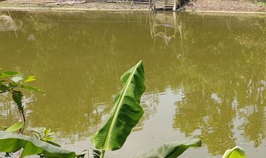 নেত্রকোণায় এক মাসে পানিতে ডুবে ১৮ শিশুর মৃত্যু