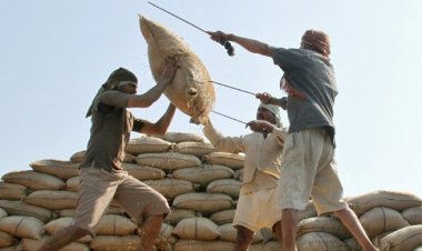 আরও ৩২ হাজার টন চাল আমদানির অনুমতি