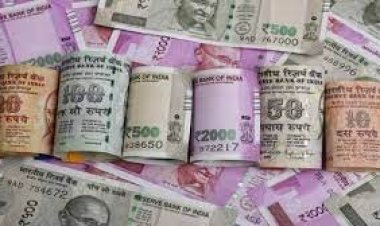 ভারতীয় মুদ্রার রেকর্ড পতন, ইতিহাসে প্রথম ৮০ রুপিতে এক ডলার