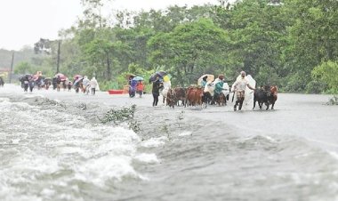 উজানে ভারী বৃষ্টি, আবারও বন্যার আশঙ্কা