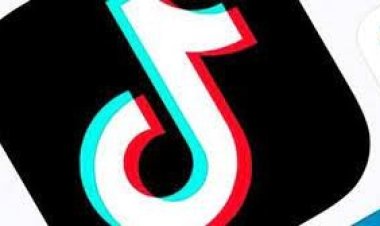 সোয়া কোটি পাকিস্তানি ভিডিও ডিলিট করলো টিকটক