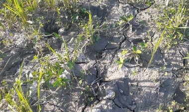 জমি ফেটে চৌচির, শঙ্কিত গাইবান্ধার কৃষক