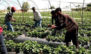 ১৫ হাজার বাংলাদেশী কর্মী নেবে গ্রিস