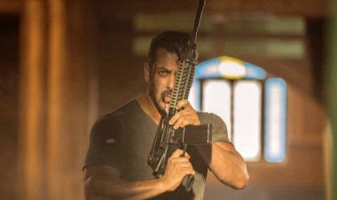 নিজের জন্য অস্ত্র চাইলেন সালমান