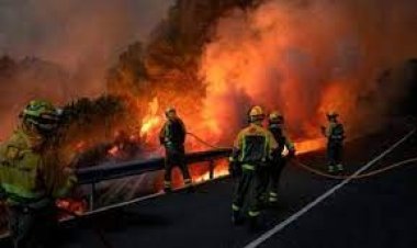  তাপপ্রবাহে স্পেন ও পর্তুগালে ১৭০০ মানুষের মৃত্যু