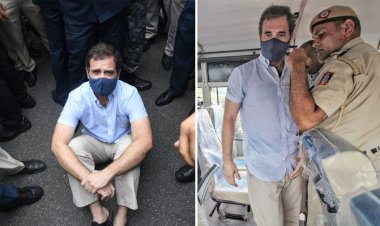 দিল্লির বিক্ষোভ থেকে রাহুল গান্ধী আটক