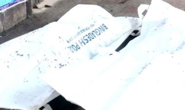 মাদারীপুরে ট্রাকচাপায় প্রাণ গেল মা-মেয়ের