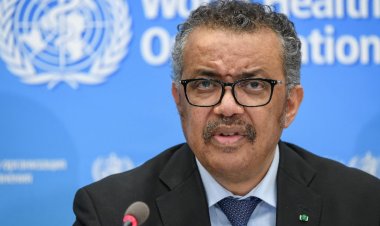 মাঙ্কিপক্স রুখতে পুরুষদের যৌন সঙ্গী কমানোর পরামর্শ ডব্লিউএইচও’র