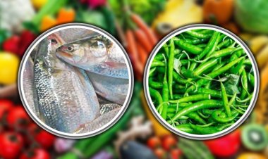 কাঁচা মরিচের কড়া ঝাল, সপ্তাহের ব্যবধানেও সবজির দাম অপিবর্তিত