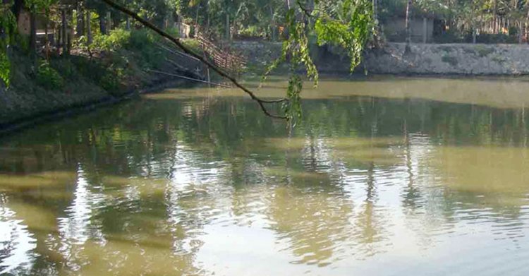 নেত্রকোণায় ডোবায় পড়ে ২ শিশুর মৃত্যু