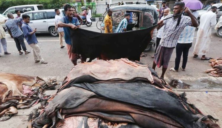 গরু-খাসির চমড়ার দাম নির্ধারণ
