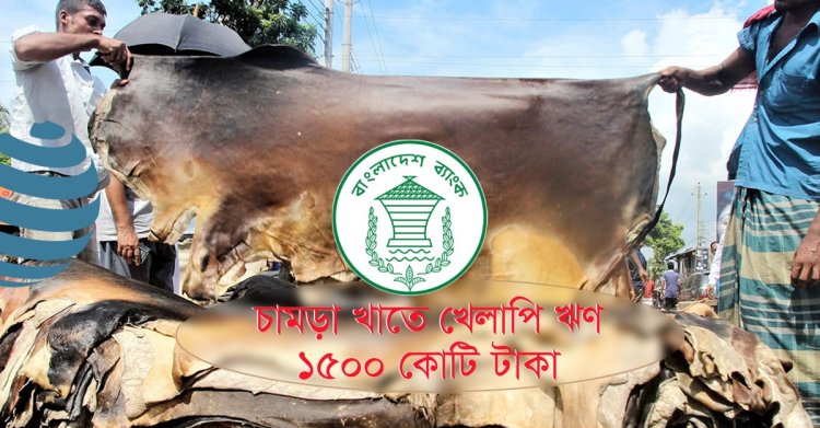 চামড়া খাতে খেলাপি ঋণ ১৫০০ কোটি টাকা