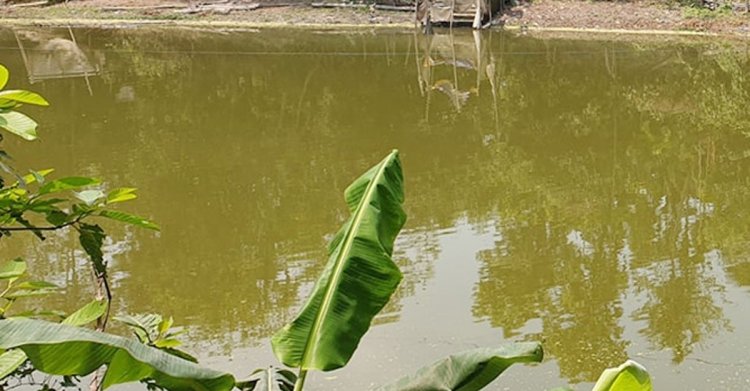 আড়াইহাজারে পানিতে ডুবে দুই শিশুর মৃত্যু