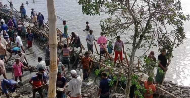 স্বেচ্ছাশ্রমে কয়রায় বাঁধ মেরামত চলছে