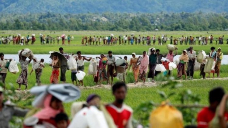 রোহিঙ্গা গণহত্যা মামলার প্রক্রিয়া আবার শুরু