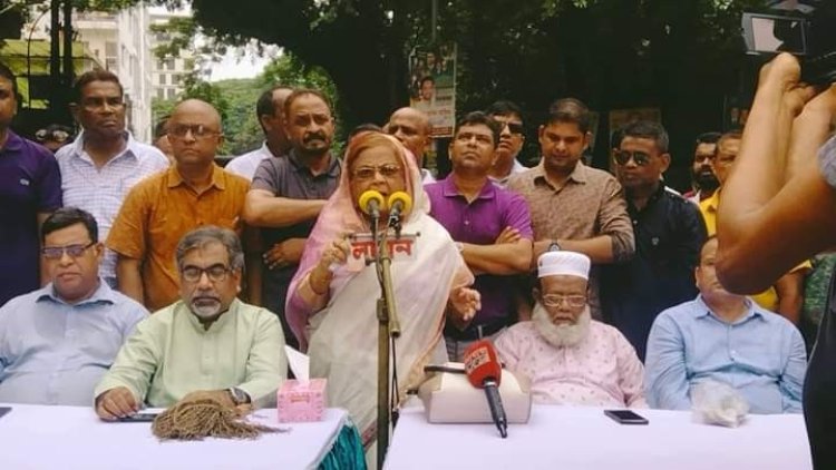 উন্নয়নের নামে সরকার হাজার হাজার কোটি টাকা বিদেশে পাচার করেছে : সেলিমা রহমান