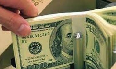 জুলাইয়ে আমদানি ঋণপত্র খোলার হার কমেছে ৩১ শতাংশ