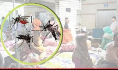 জুলাইয়ে ডেঙ্গু রোগী দ্বিগুণ