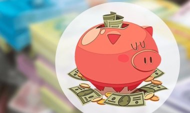 সুদ হার বাড়ল প্রবাসীদের সঞ্চয়ী হিসাবে