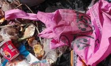 সাভারে ডাস্টবিনে মিললো জীবিত নবজাতক