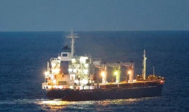 তুরস্কে পৌঁছেছে ইউক্রেনের শস্যবাহী প্রথম জাহাজ