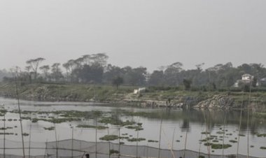 সিংড়ায় বিল থেকে নানা-নাতির লাশ উদ্ধার