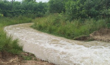 জলাবদ্ধ ধান বাঁচাতে গিয়ে স্রোতে ভেসে বৃদ্ধের মৃত্যু