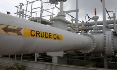 বিশ্ববাজারে তেলের দাম আট মাসের মধ্যে সর্বনিম্ন