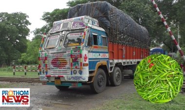 ভারত থেকে কাঁচামরিচ আমদানি শুরু
