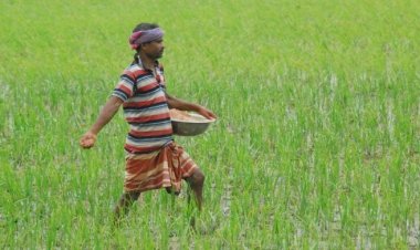 ‘সারের মূল্যবৃদ্ধি কৃষকের বিপদ আরও বাড়াবে’