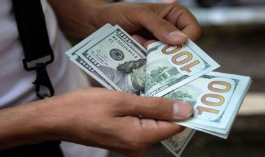 ডলার কারসাজি : ৬ ব্যাংকের ট্রেজারি প্রধানকে অপসারণের নির্দেশ