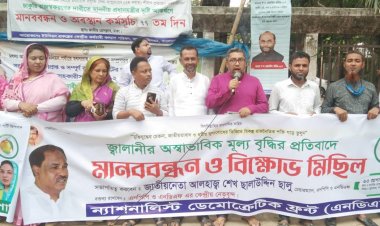 ‘দুর্নীতি ও লুটপাটের কারণে জ্বালানি তেলের দাম বেড়েছে’