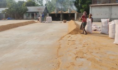 খাদ্য কর্মকর্তাদের ঘুষ দিয়ে নিম্নমানের চাল দেন মিলাররা