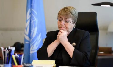 জাতিসংঘের মানবাধিকার কমিশনারের প্রতি ৯ আন্তর্জাতিক সংস্থার আহ্বান