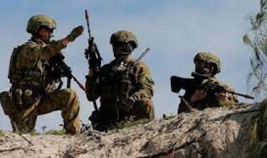  প্রতিরক্ষা বাহিনীতে আত্মহত্যা, অস্ট্রেলিয়ায় জাতীয় বিপর্যয় ঘোষণা