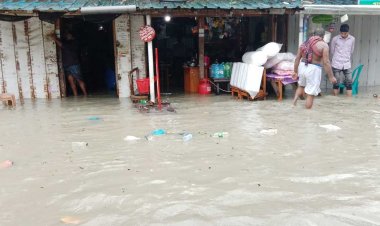 পটুয়াখালী-বরগুনায় বিপৎসীমার ওপরে নদ-নদীর পানি, পৌর শহর প্লাবিত