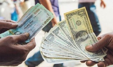 প্রায় ৮ টাকা কমলো ডলারের দাম