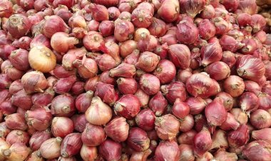 হিলিতে পেঁয়াজের দাম বেড়েছে কেজিতে ৭ টাকা