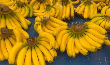 কলা অনেক দিন তাজা রাখার তিন উপায়