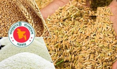 অ্যাপে ধান-চাল ক্রয়ে সাড়া কম কৃষকের