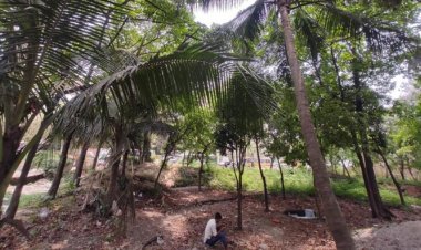 দুই প্রতিষ্ঠানের টানাহেঁচড়া, পান্থকুঞ্জ এখন অপরাধের স্বর্গরাজ্য