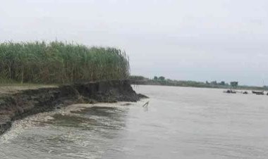 যমুনার ভাঙনে দিশেহারা কৃষক