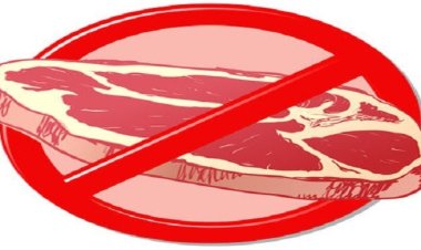 কম খরচে আমিষের চাহিদা মিটবে যে খাবারে