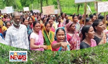 মজুরি বৃদ্ধি: প্রত্যাহারের কয়েক ঘণ্টার মধ্যেই ফের আন্দোলনের ঘোষণা চা শ্রমিকদের